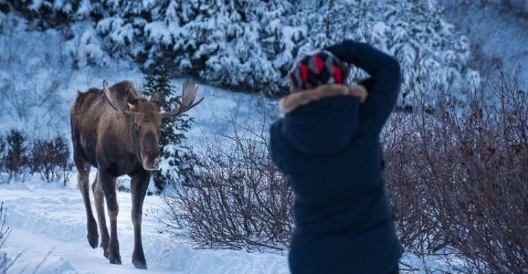 Anchorage Winter Photography Scenic Tour