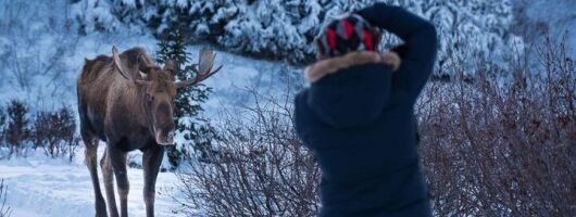 Anchorage Winter Wonderland Photo Tour