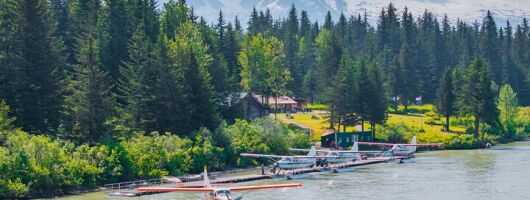Taku Lodge Feast & 5-Glacier Seaplane Discovery