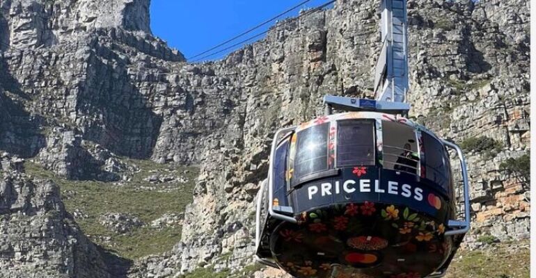 Cape Town Half Day Wildlife Adventure