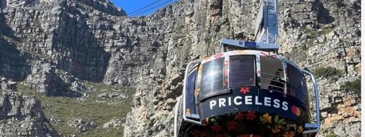 Table Mountain and Boulder Penguins Half Day Tour