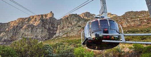 Table Mountain Kirstenbosch and Constantia Tour