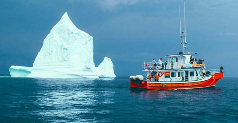 St. John's Historic Sites and Iceberg Cruise