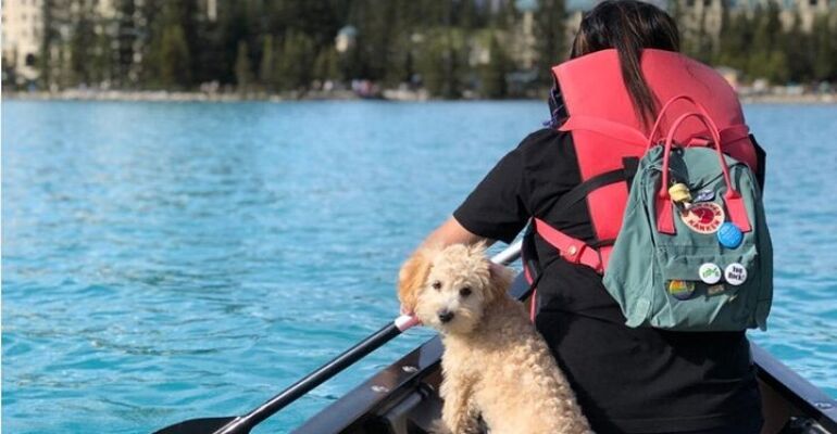 Yoho National Park Private Scenic Tour