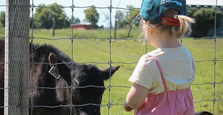 Valleyview Animal Farm Family Fun Day