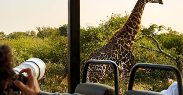 Johannesburg Private Safari Experience in Pilanesberg