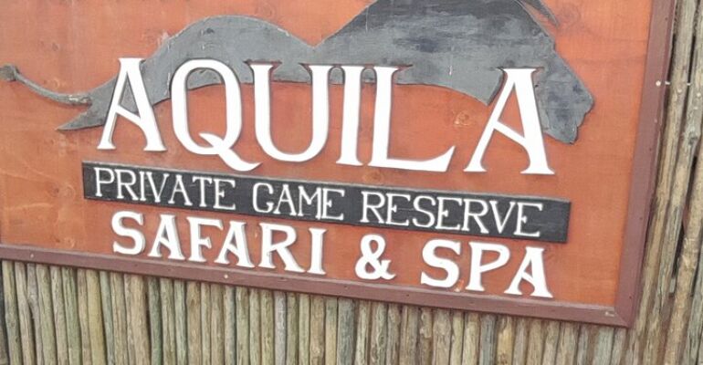 Paarl Big Five Safari Adventure Experience