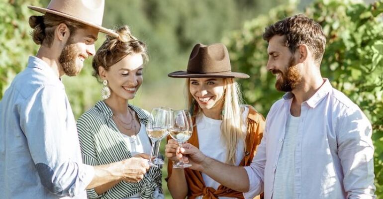 Cape Winelands Private Wine Tasting Experience