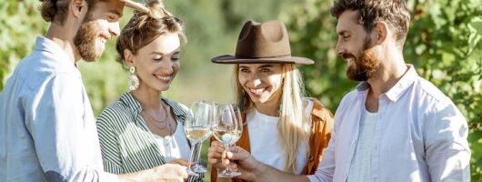 Cape Winelands - Secret Cellars Wine Tasting and Lunch