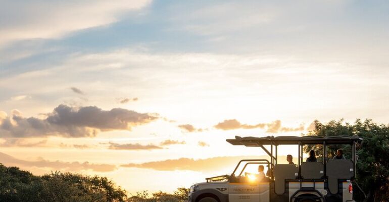 Kruger National Park Private Full-Day Safari
