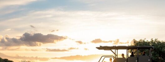 Private Full Day Safari in Kruger National Park