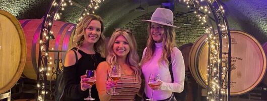 Private Temecula Wine Tour from Pacific Beach