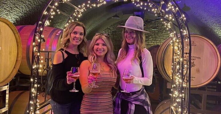 Temecula Wine Country Scenic Tasting Tour