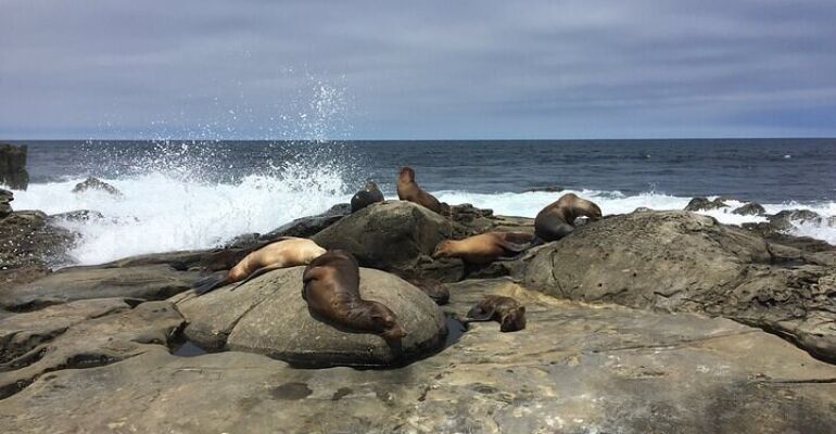 San Diego Private Full Day Tour Experience