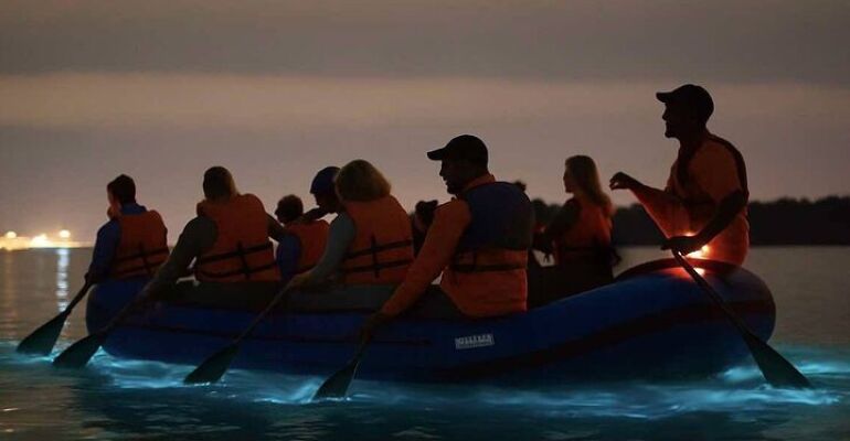 Kiwanis Island Family Bioluminescence Tour