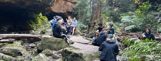 Blue Mountains Grand Canyon Adventure: Ultimate Hiking Tour