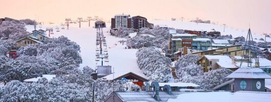 Melbourne to Mt Buller Snow Day Trip – Skiing & Winter Fun