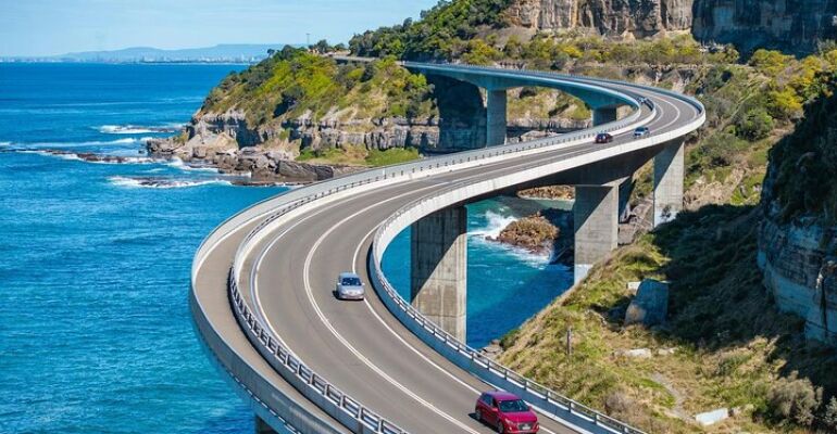 Sydney South Coast Wildlife and Scenic Tour