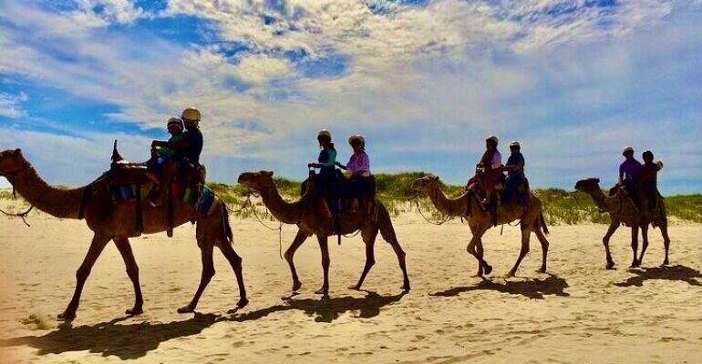 Anna Bay Adventure with Sandboarding and Dolphins