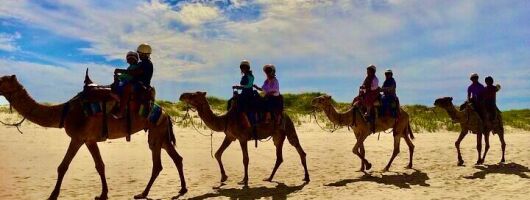 Dubai Safari Experience Now at Anna Bay and Nelson Bay NSW