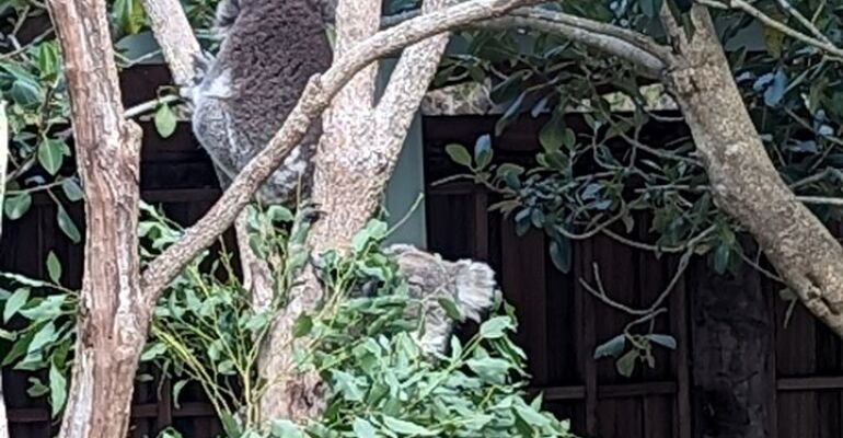 Wollongong Guided Nature and Culture Tour
