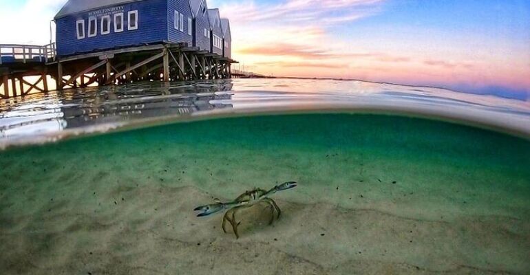 Busselton Sunset Cruise with Water Activities