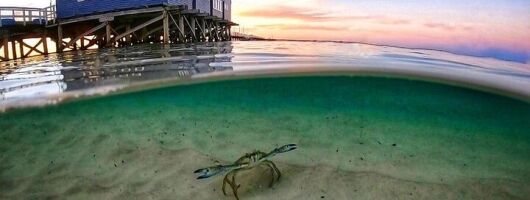 2 Hour Scenic Busselton Jetty Sunset Cruise Swim or Relax
