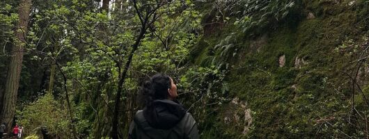 Whytecliff Park Indigenous Salish Sea Walking Tour 