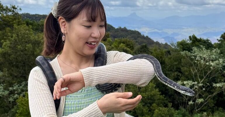 Lamington National Park Wildlife and Wine Tour