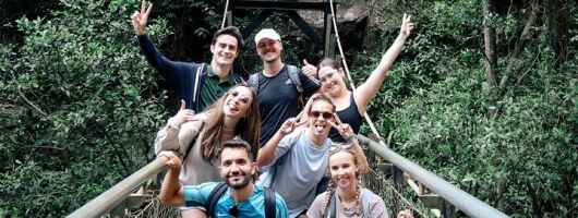 Super 7 Waterfalls and Natural Bridge Day Tour at Springbrook