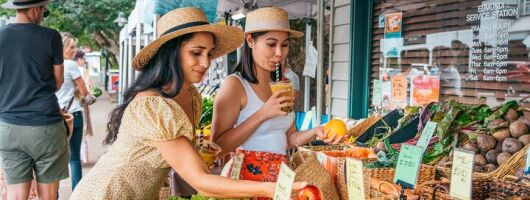 Sunshine Coast Hinterland Day Tour: Noosa, Eumundi and Montville
