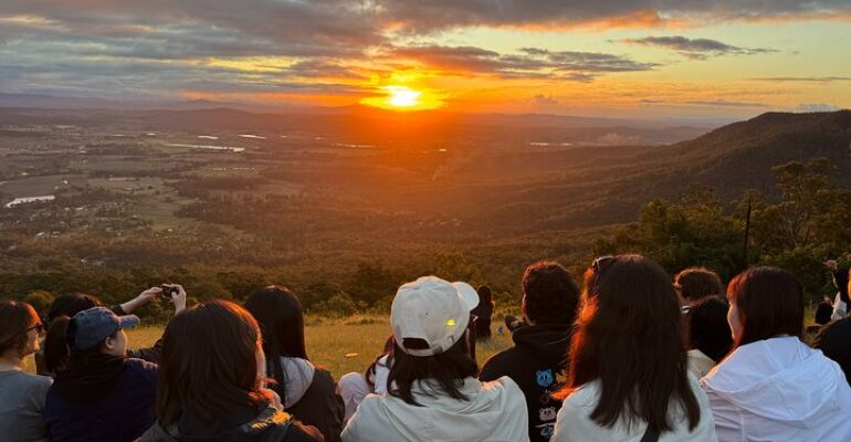 Queensland Lamington and Tamborine Adventure