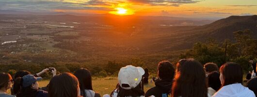 Lamington and Tamborine Day Tour OReillys Curtis Falls Sunset