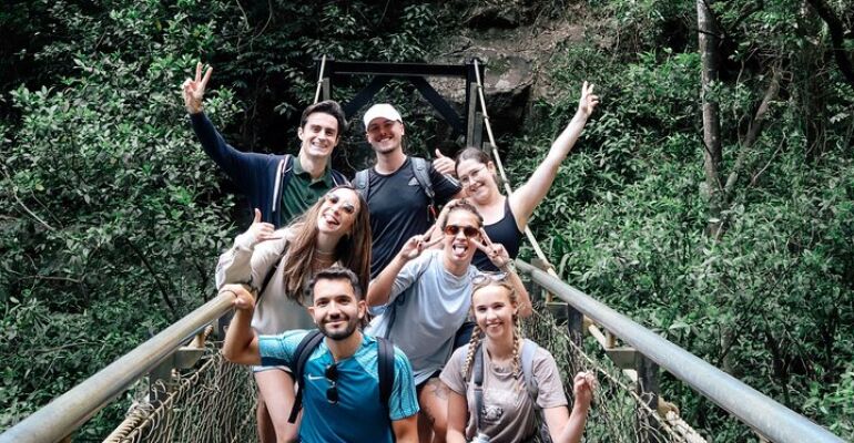 Springbrook National Park Waterfall Hiking Tour