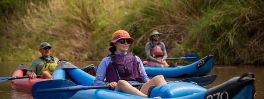 Guided Kayak Tours on Lower Salt River