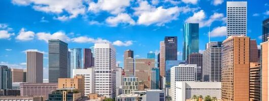 75 Min Houston Highlight City Tour by Minivan