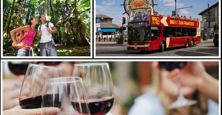 San Francisco Redwoods and Wine Tour