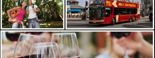 SF Bundle: Wine Country, Coast Redwoods, and Hop-on Hop-off Tour