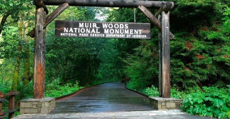 San Francisco Muir Woods and Bike Adventure