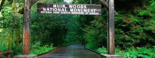 San Francisco Muir Woods Tour and Bike The Golden Gate Bridge