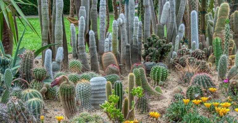 Phoenix Iconic Landmarks Guided Vehicle Tour