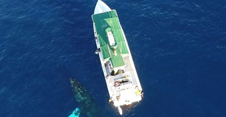 Kaanapali Eco Educational Fantasy Charter Tour