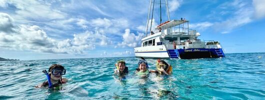 Turtle Snorkel Adventure from Waikiki, Oahu