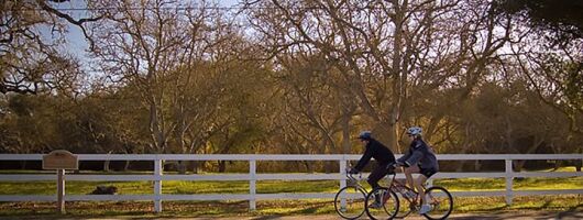 Self Guided Tour of Solvang and Santa Ynez Wine Country