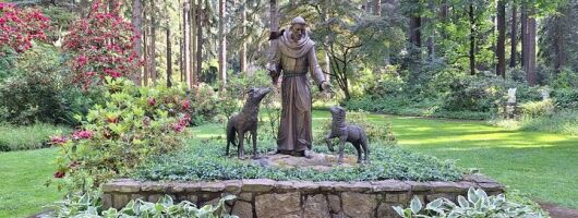 Serene Journey to The Grotto