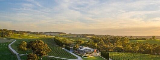 Phoenix Vortex to Vineyard Shared Tour