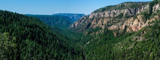 Phoenix Grand Canyon Sedona Oak Creek Canyon Shared Tour