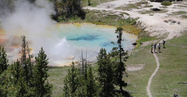 Yellowstone Wildlife and Geyser Hiking Tour