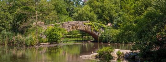 Official Who Built Central Park Walking Tour