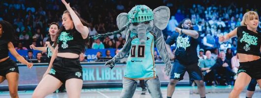 New York Liberty WNBA Game Ticket